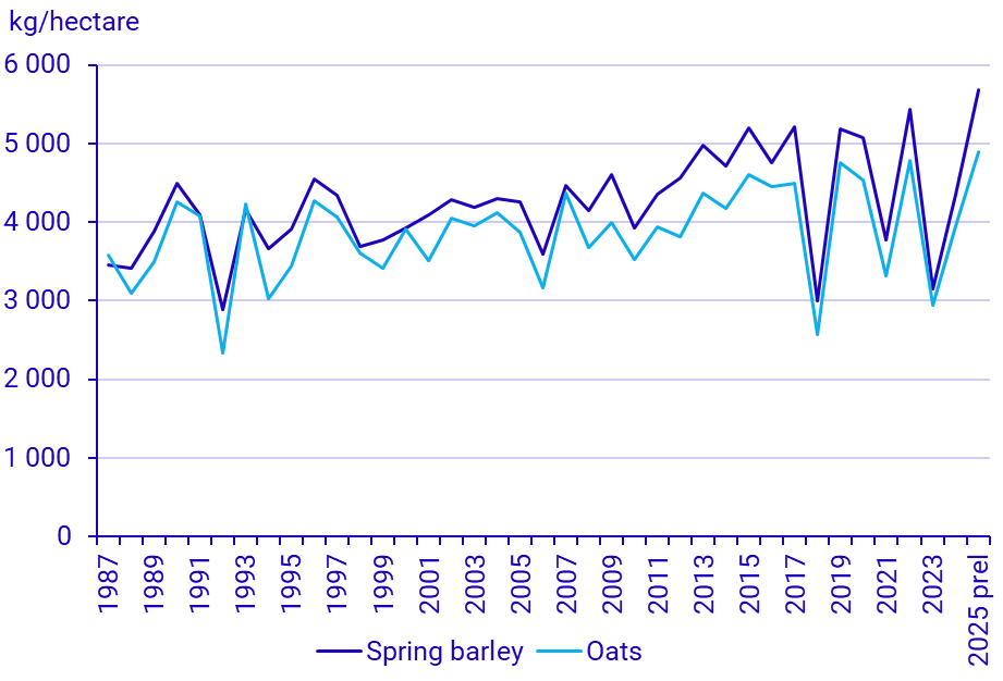 Graph: Spring barley and oats, yield per hectare