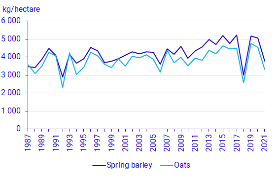 Graph: Spring barley and oats, yield per hectare