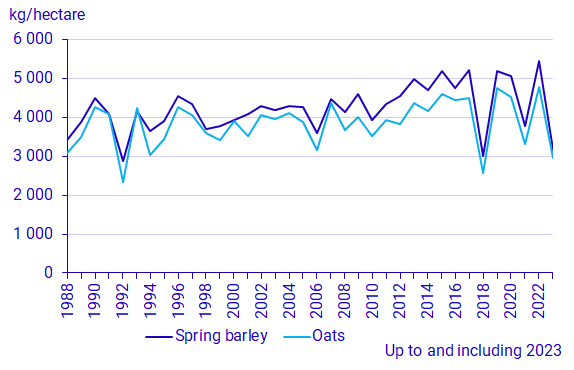 Graph: Spring barley and oats, yield per hectare