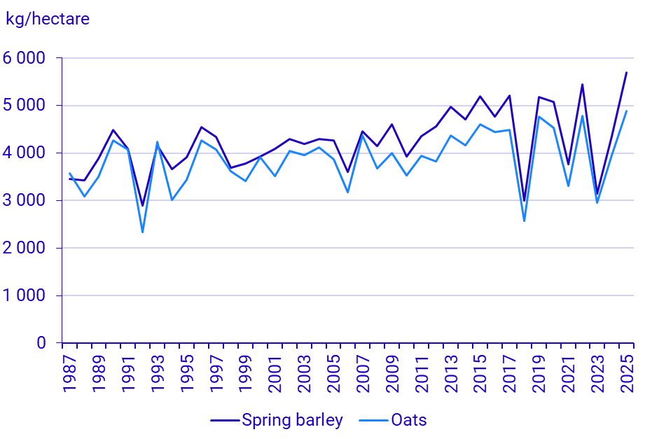 Graph: Spring barley and oats, yield per hectare