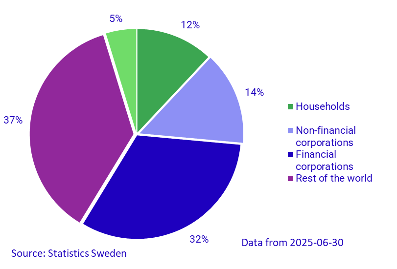 Graph: Share assets by ownership sector, June 2025, percent