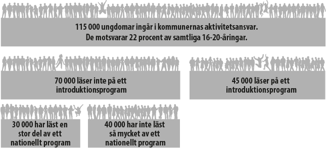 Unga inom kommunernas aktivitetsansvar