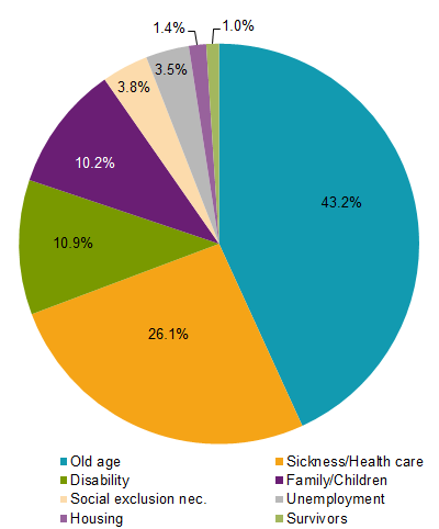 Graph: Percentage distribution of expenditure on social protection by function, 2017