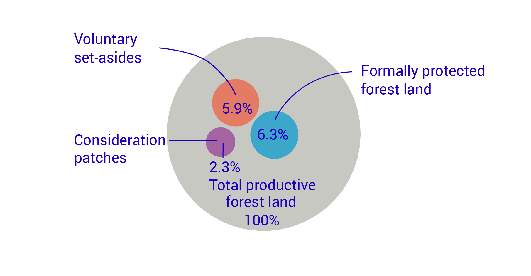Graph: Types of forest land in the statistics, as a percentage of all productive forest land, 2024