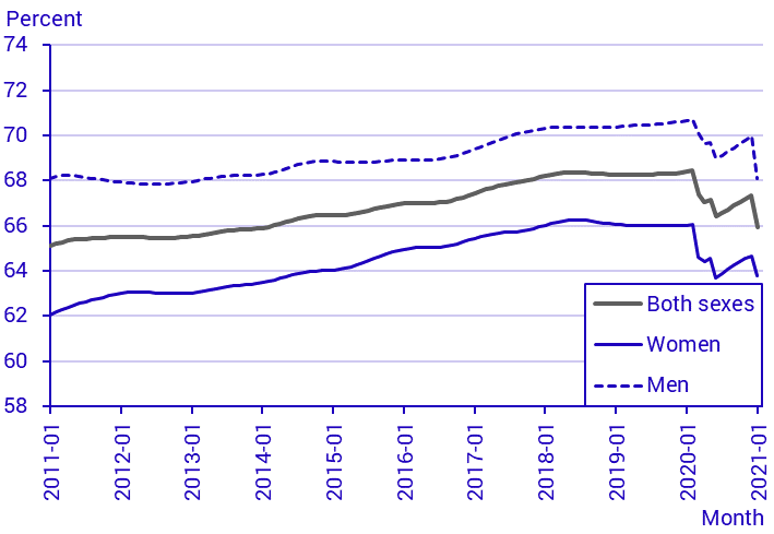 Labour Force Surveys (LFS), January 2021