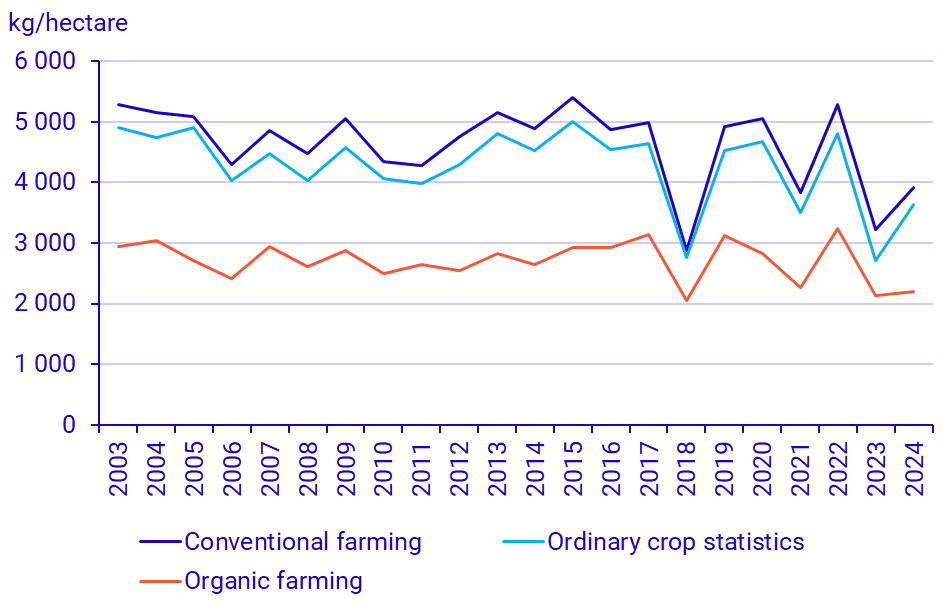 Graph: Yields for spring wheat from organic farming and conventional farming, as well as from the ordinary crop statistics 2003–2024