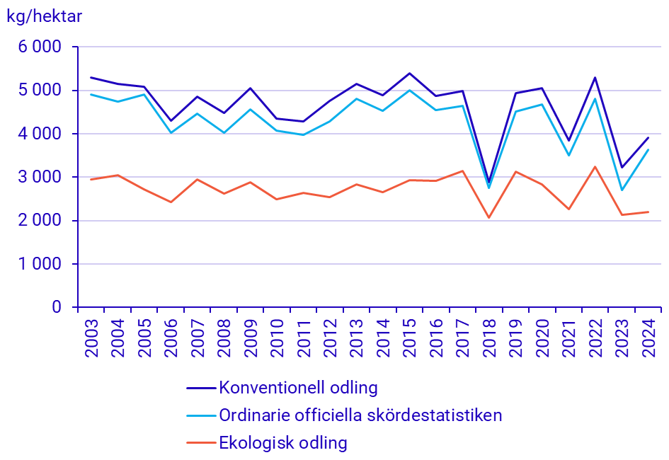 diagram: Hektarskördar för vårvete från ekologisk odling och från konventionell odling, samt från den ordinarie officiella skördestatistiken 2003–2024