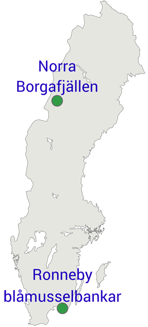 Map: The largest new nature reserves, Norra Borgafjällen och Ronneby blåmusselbankar    