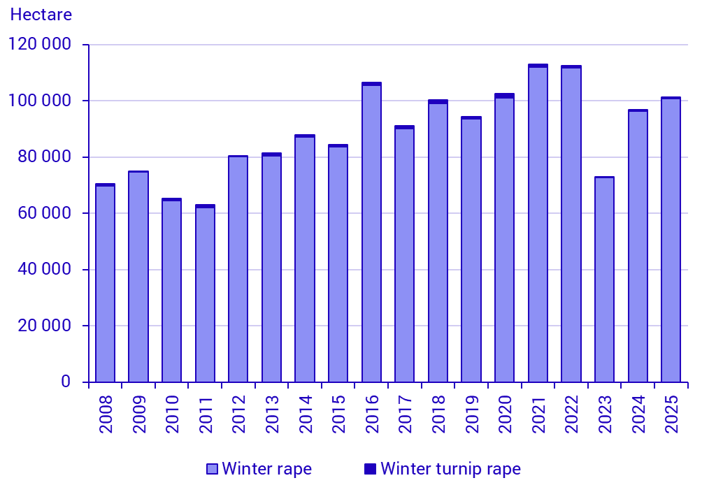 Diagram: Areas of oilseed crops sown in the autumn 2006–2025