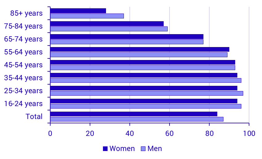 Share of persons who have used the Internet several times per day