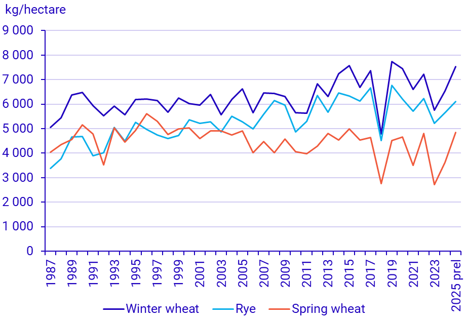 Graph: Winter wheat, spring wheat and rye, yield per hectare