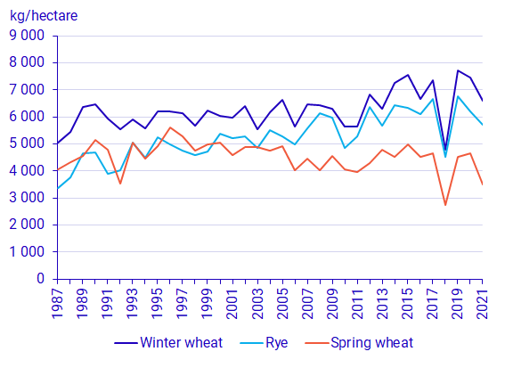 Graph: Winter wheat, spring wheat and rye, yield per hectare