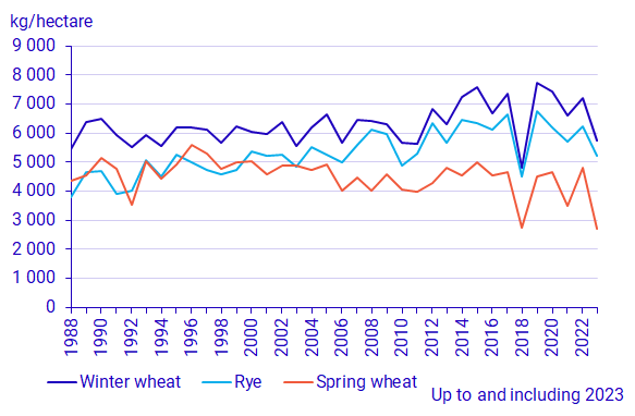Graph: Winter wheat, spring wheat and rye, yield per hectare