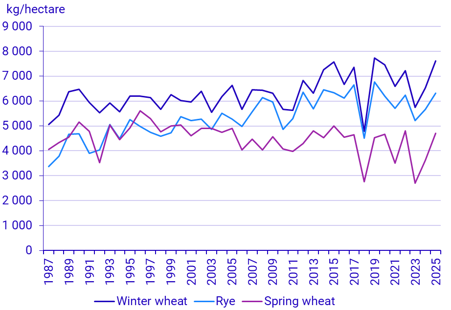 Graph: Winter wheat, spring wheat and rye, yield per hectare