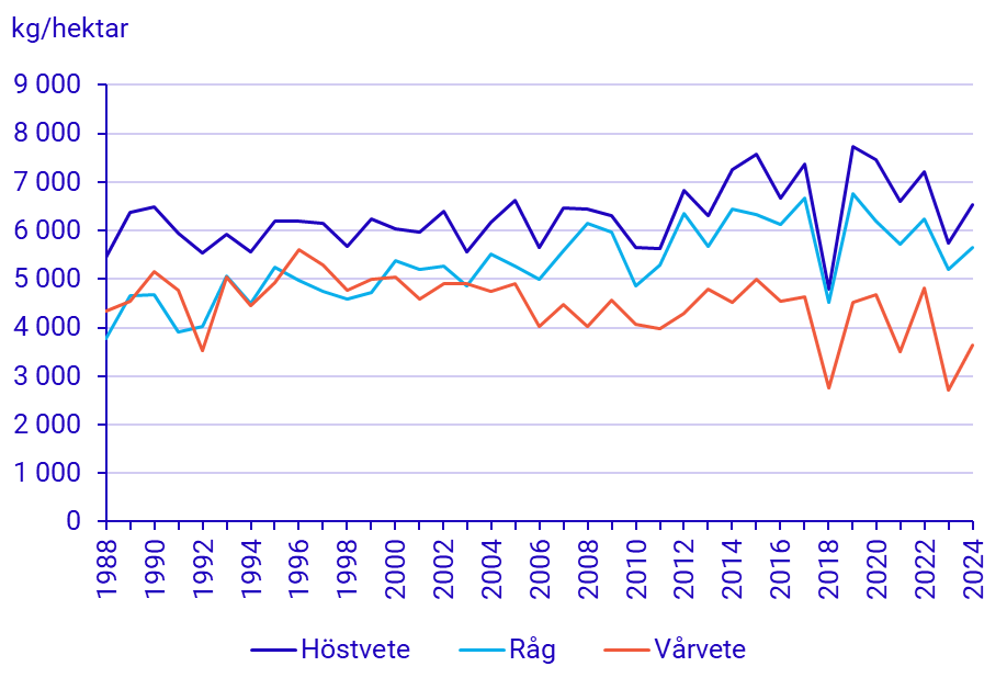 Diagram: Hektarskördar av höstvete, vårvete och råg
