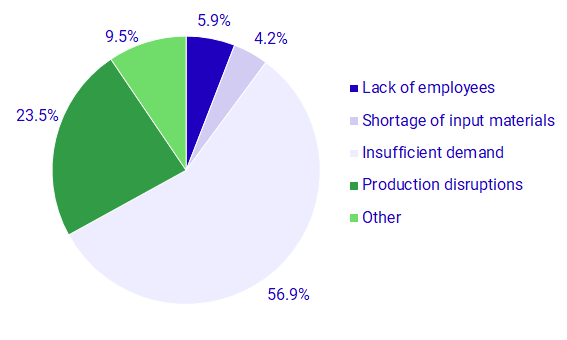 Graph: Reason for lower capacity utilization, shares