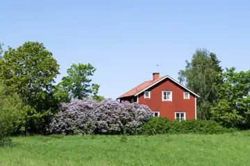 Röd stuga inklämd mellan träd och annan växtlighet