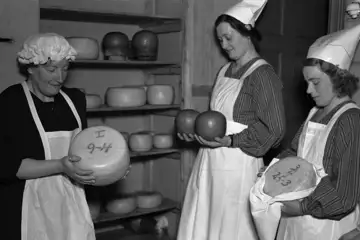 Tre kvinnor tillverkar ost