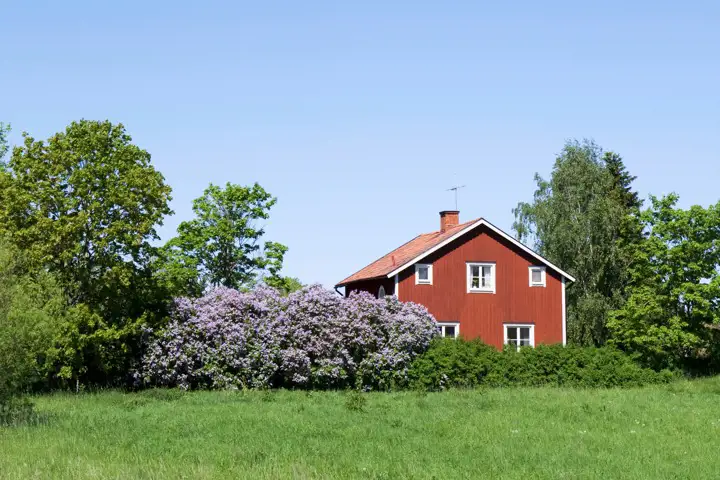 Röd stuga inklämd mellan träd och annan växtlighet